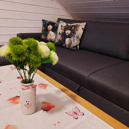 Vintage Four Katusekorter 합살루