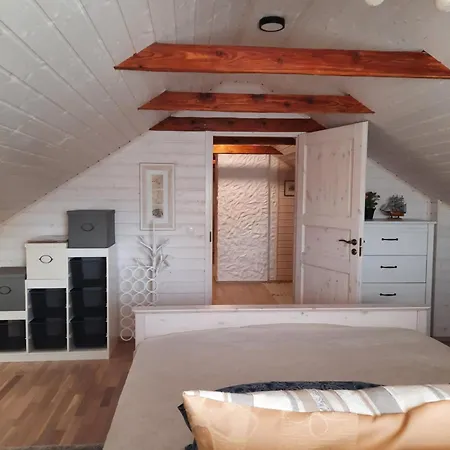 Vintage Four Katusekorter *