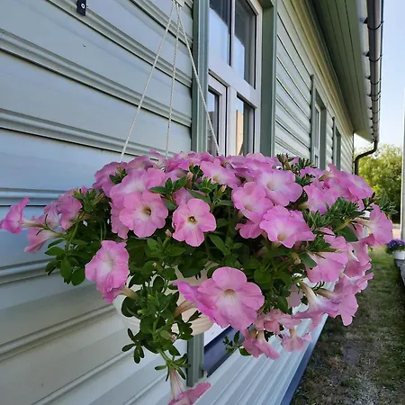 Apartmán Vintage Four Katusekorter *