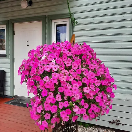 Apartmán Vintage Four Katusekorter