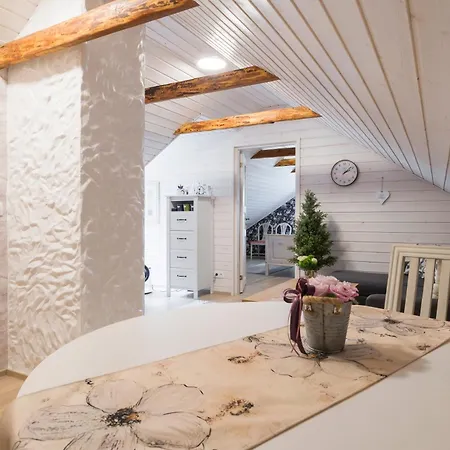 Vintage Four Katusekorter 합살루