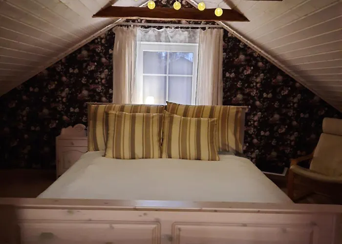 Vintage Four Katusekorter