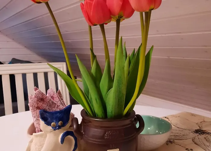 Vintage Four Katusekorter *