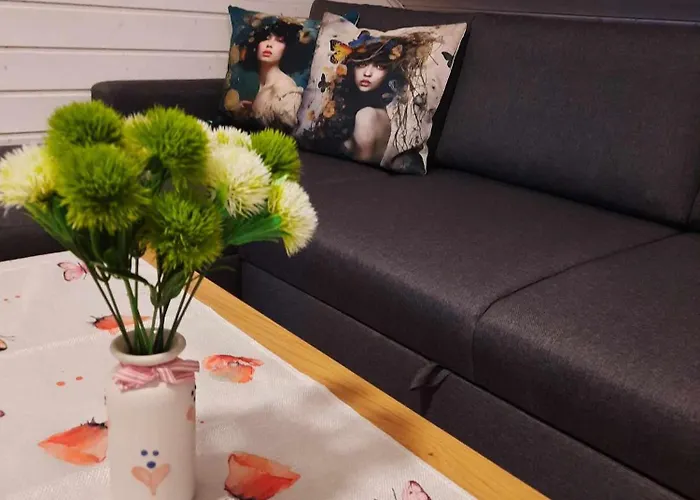 Vintage Four Katusekorter Haapsalu