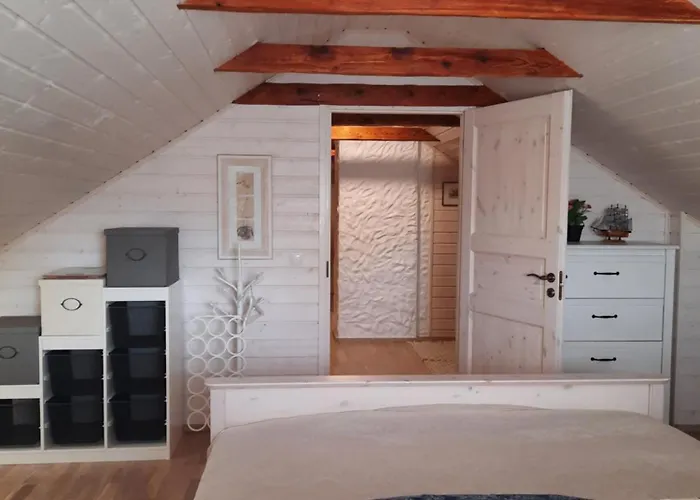 Vintage Four Katusekorter *