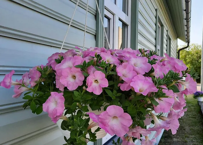 Apartmán Vintage Four Katusekorter *