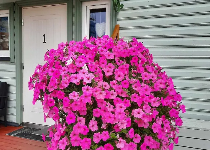 Apartment Vintage Four Katusekorter