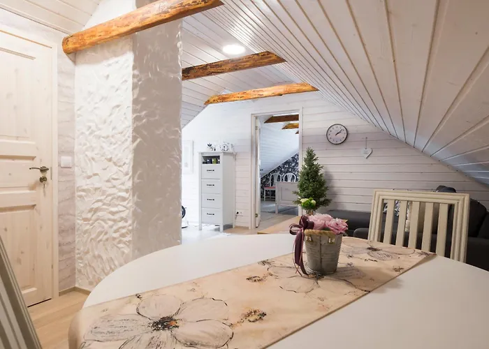 Vintage Four Katusekorter Haapsalu