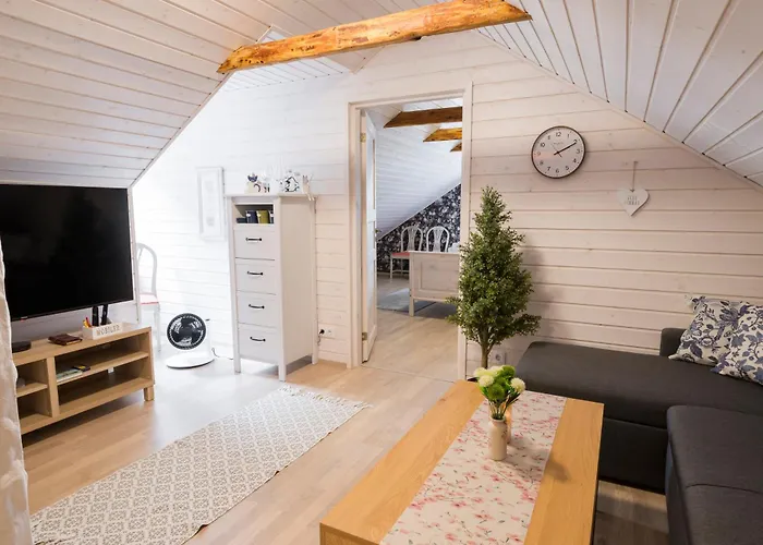 Vintage Four Katusekorter *