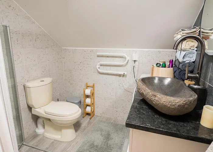 Vintage Four Katusekorter