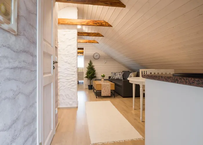 Apartment Vintage Four Katusekorter *